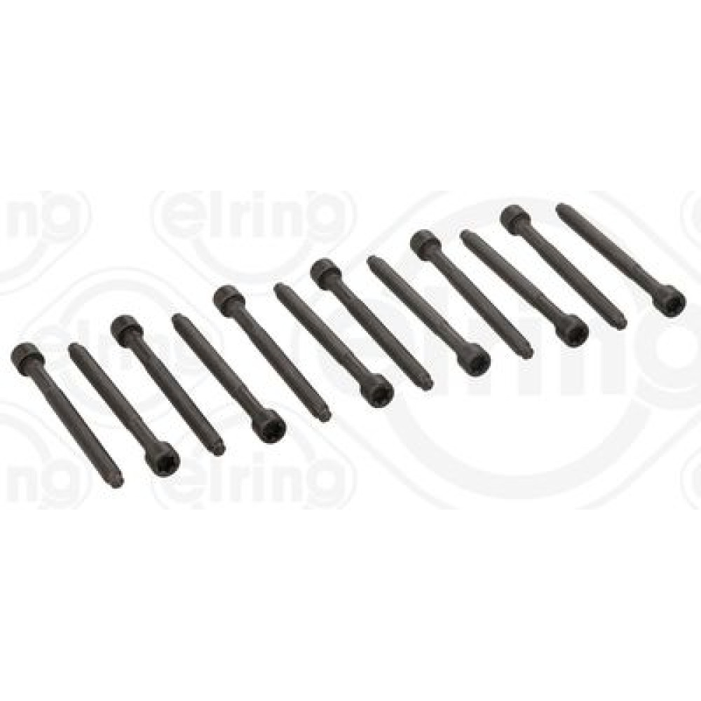 Болт ГБЦ комплект 12 шт. ELRING 005610
