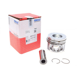 Поршень MAHLE ORIGINAL 0220102