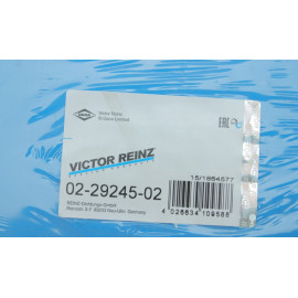 Комплект прокладок двигателя VICTOR REINZ 022924502