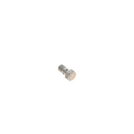 Болт M10X1-ZNNIV M47/M57 BMW 07119907291