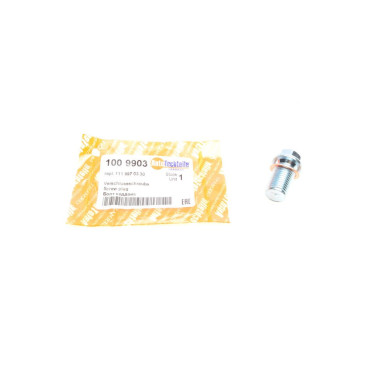 Болт зливу оливи AUTOTECHTEILE 1009903