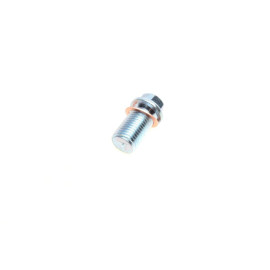 Болт зливу оливи AUTOTECHTEILE 1009903