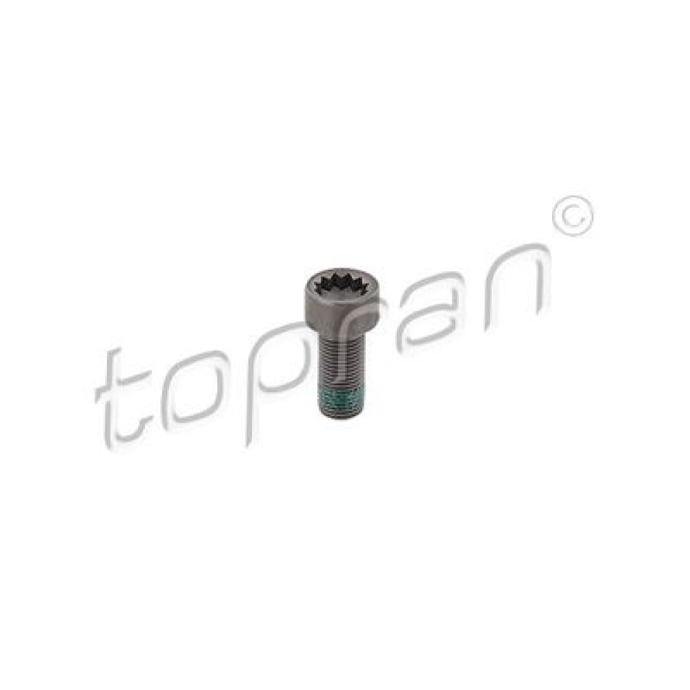 Болт кріплення маховика М10x1x22. 30 TOPRAN 117243