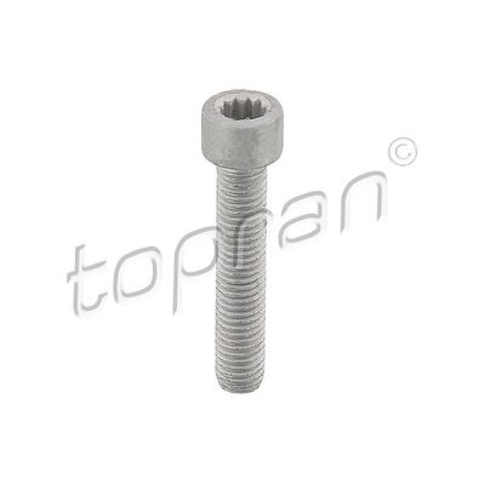 Болт ШРУС М10x52 TOPRAN 117612