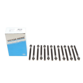 Комплект болтів ГБЦ VICTOR REINZ 143210101
