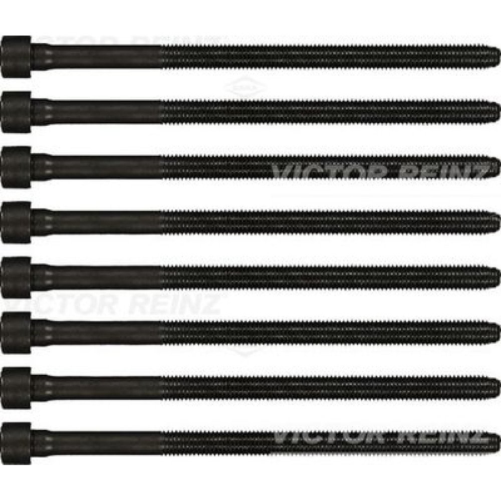 Комплект болтів ГБЦ VICTOR REINZ 143219801
