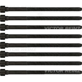 Комплект болтів ГБЦ VICTOR REINZ 143219801