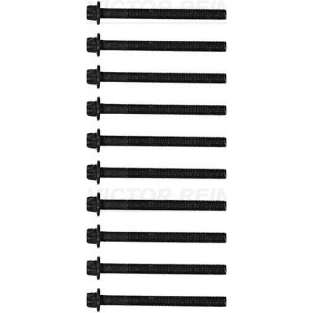 Болты ГБЦ комплект 10 шт. VICTOR REINZ 143223101
