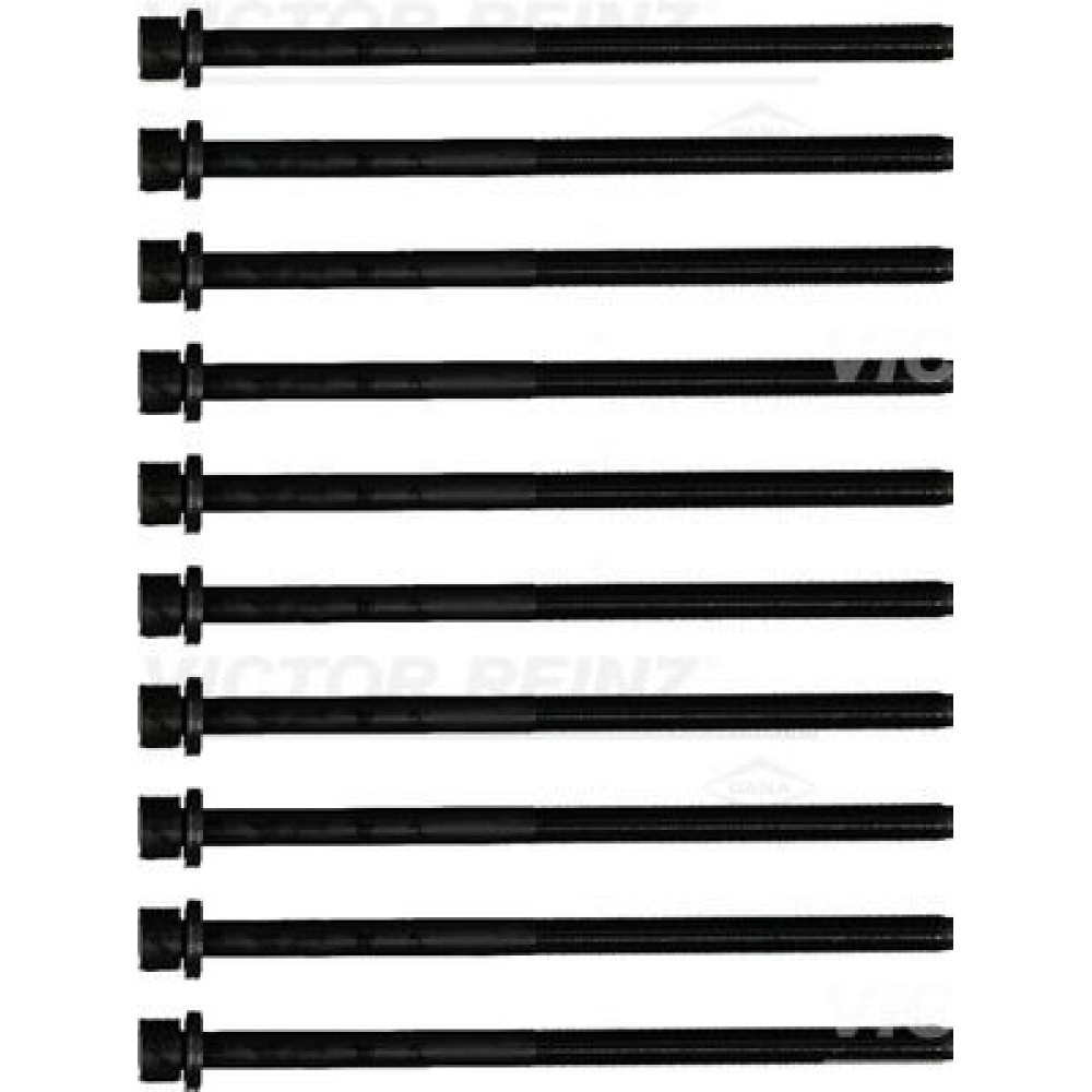Болты ГБЦ комплект 10 шт. VICTOR REINZ 143233201