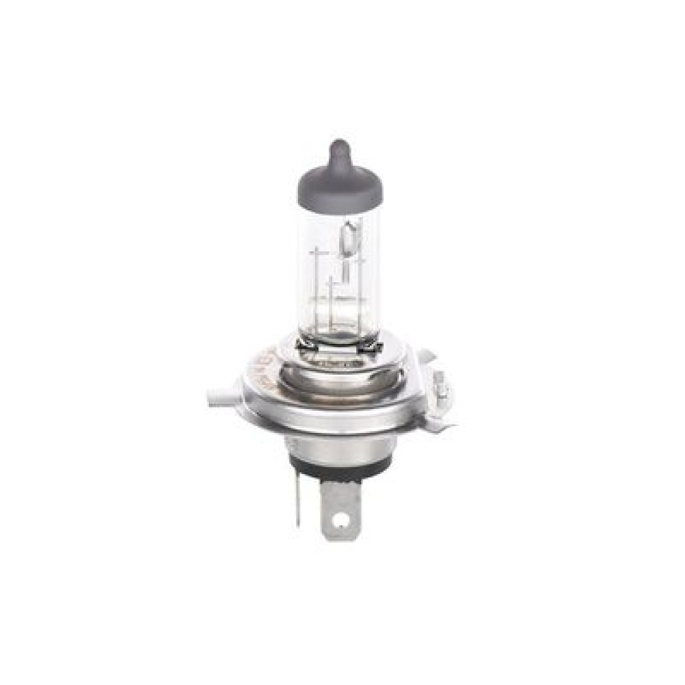 Автолампа BOSCH 1987302049