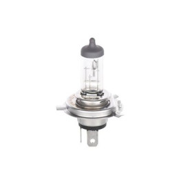 Автолампа BOSCH 1987302049