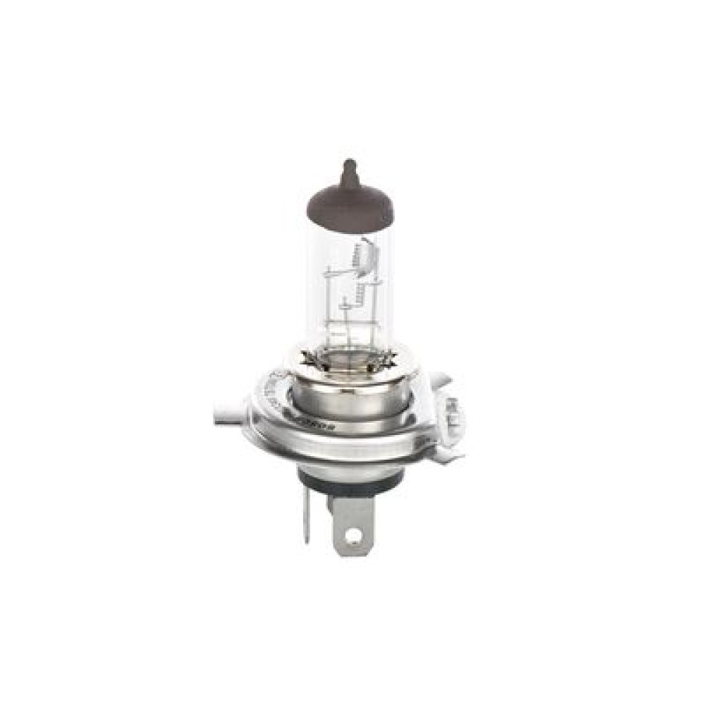 Автолампа BOSCH 1987302441
