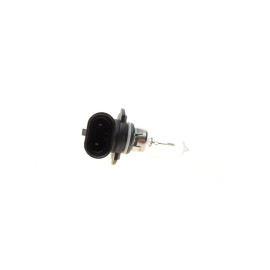 Автолампа BOSCH 1987302807