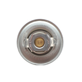 Термостат WAHLER 300083