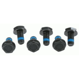 Комплект Болтів SACHS 3096005000