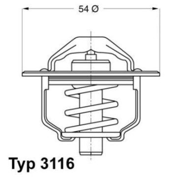 Термостат WAHLER 311689d