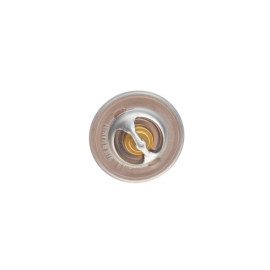 Термостат WAHLER 313688d50