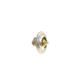 Термостат WAHLER 316783d