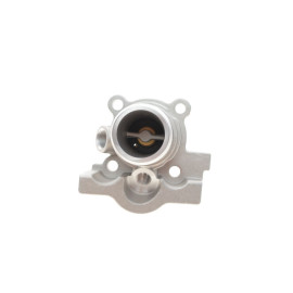 Термостат WAHLER 317182d