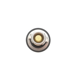 Термостат MAGNETI MARELLI 352317101910