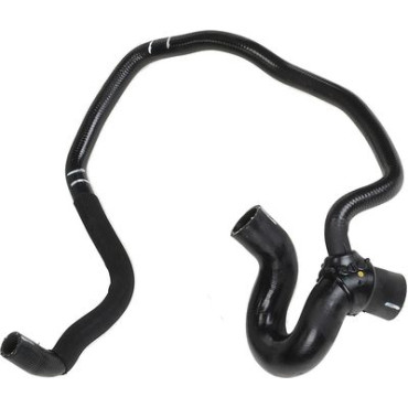 Поршень супорта зад Audi A3/PSA C4/207/307/Ford Mondeo III/Octavia/Superb/Caddy III/Golf VI 38x49 AUTOFREN SEINSA d02554
