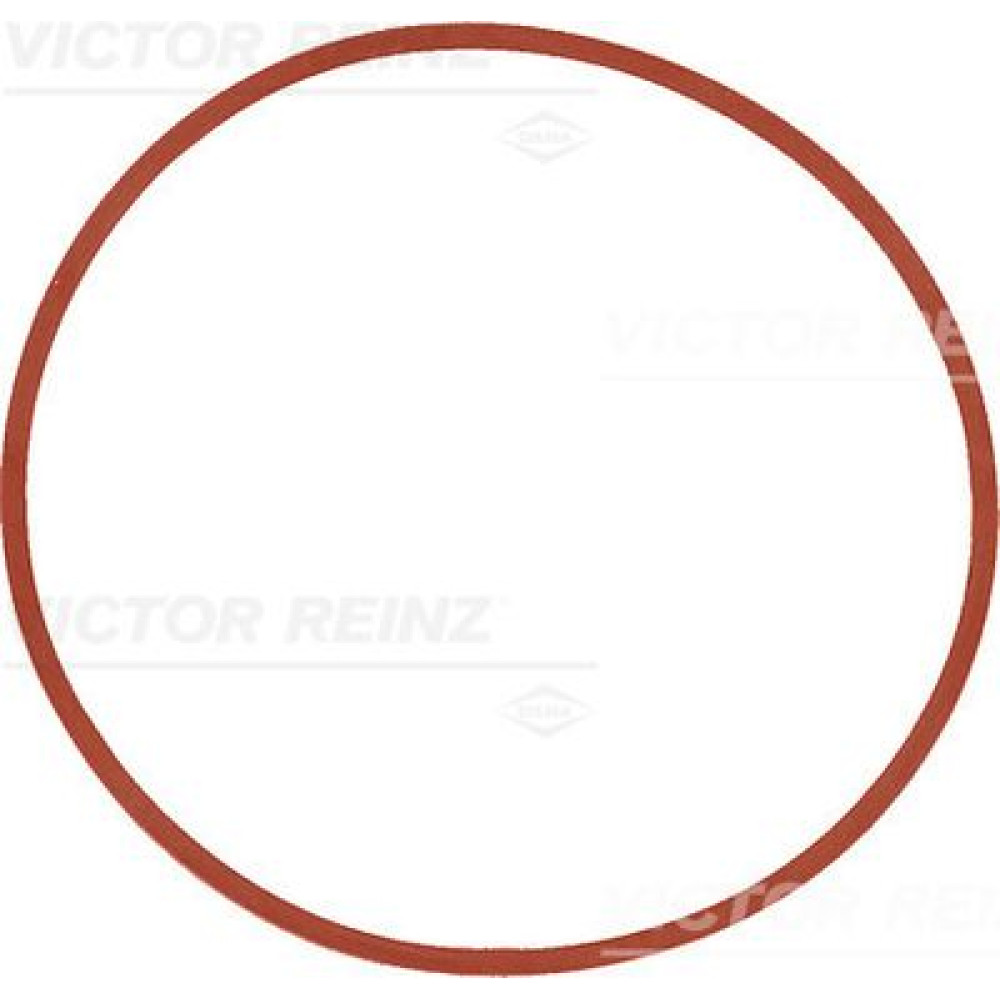 Прокладка колектора впуск BMW 1/3/5/6/7/X3/X5/X6 98-13 VICTOR REINZ 407753500