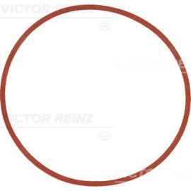 Прокладка колектора впуск BMW 1/3/5/6/7/X3/X5/X6 98-13 VICTOR REINZ 407753500
