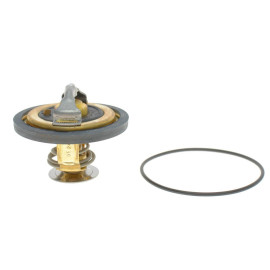 Термостат WAHLER 417482d