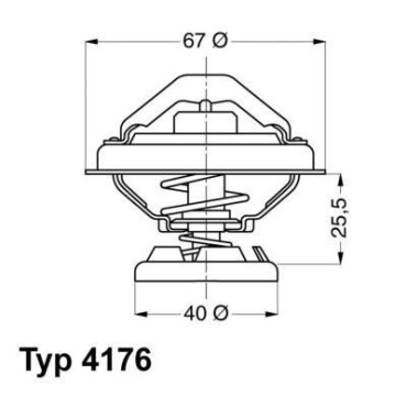 Термостат WAHLER 417680d