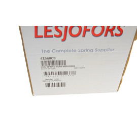 Пружина Lesjofors 4256809