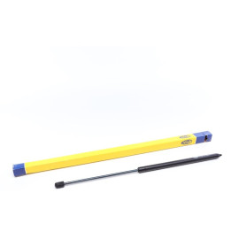 Демпфер двери багажника MAGNETI MARELLI 430719056800