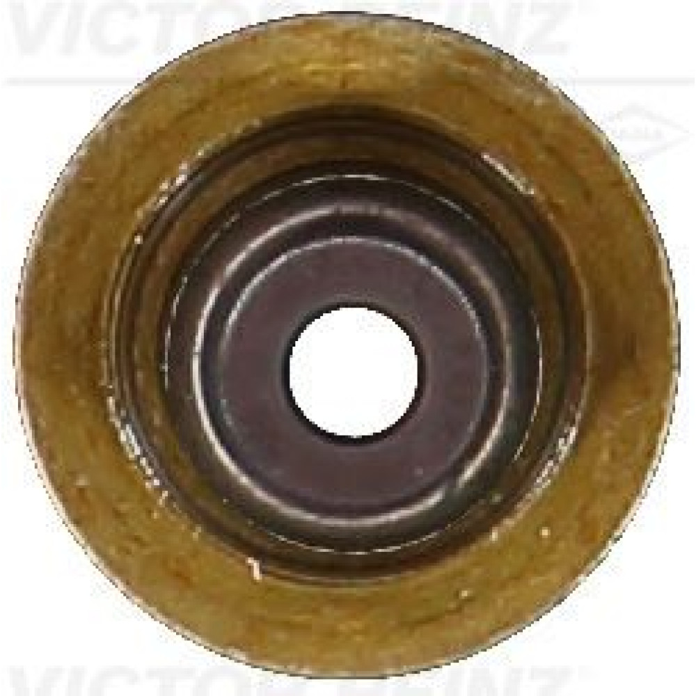Сальник клапана (впуск/випуск) (к-кт) Citroen Berl VICTOR REINZ 703762100
