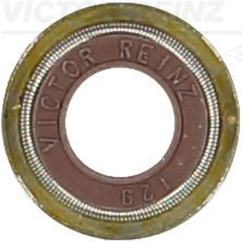 Ущільнювальне кільце, стержень кла VICTOR REINZ 703780400