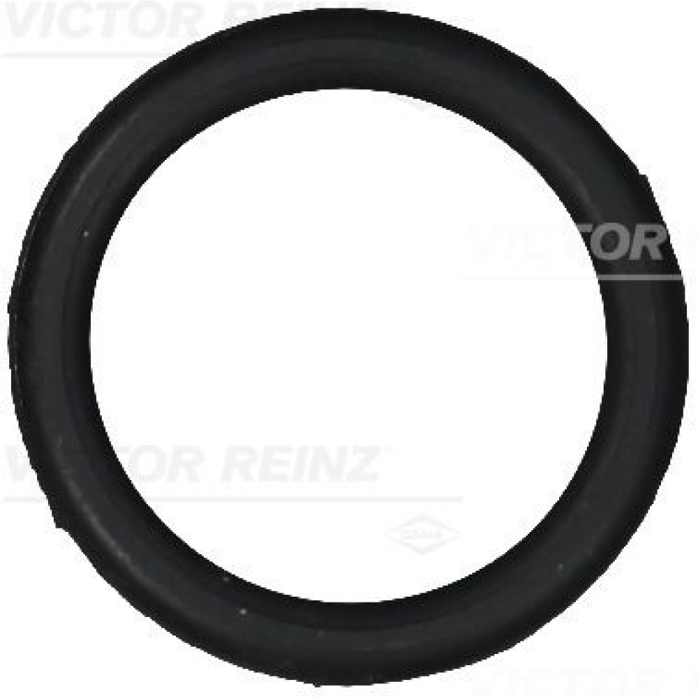 Прокладки VICTOR REINZ 711098300