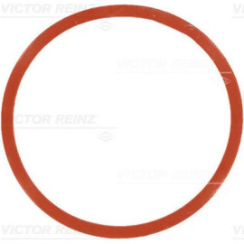 Прокладка коллектора VICTOR REINZ 717754600