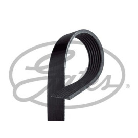 Ремінь полікліновий GATES 7pk810