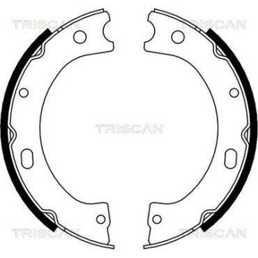 Комплект гальмівних колодок, стоянкове гальмо TRISCAN 810014011