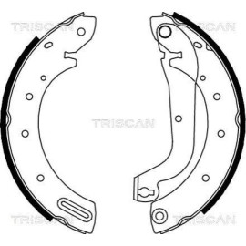 Колодки гальмівні задні барабанні TRISCAN 810014596