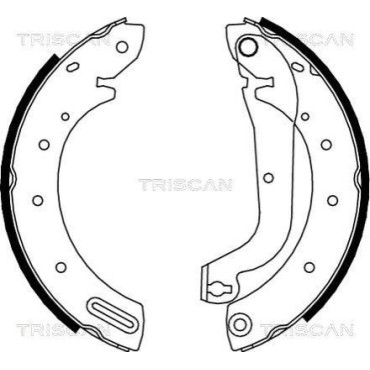 Колодки тормозные задние барабанные TRISCAN 810014596