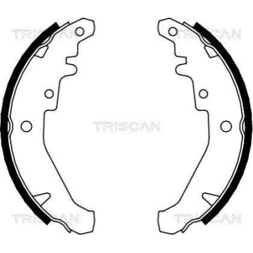 Комплект гальмівних колодок TRISCAN 810015026