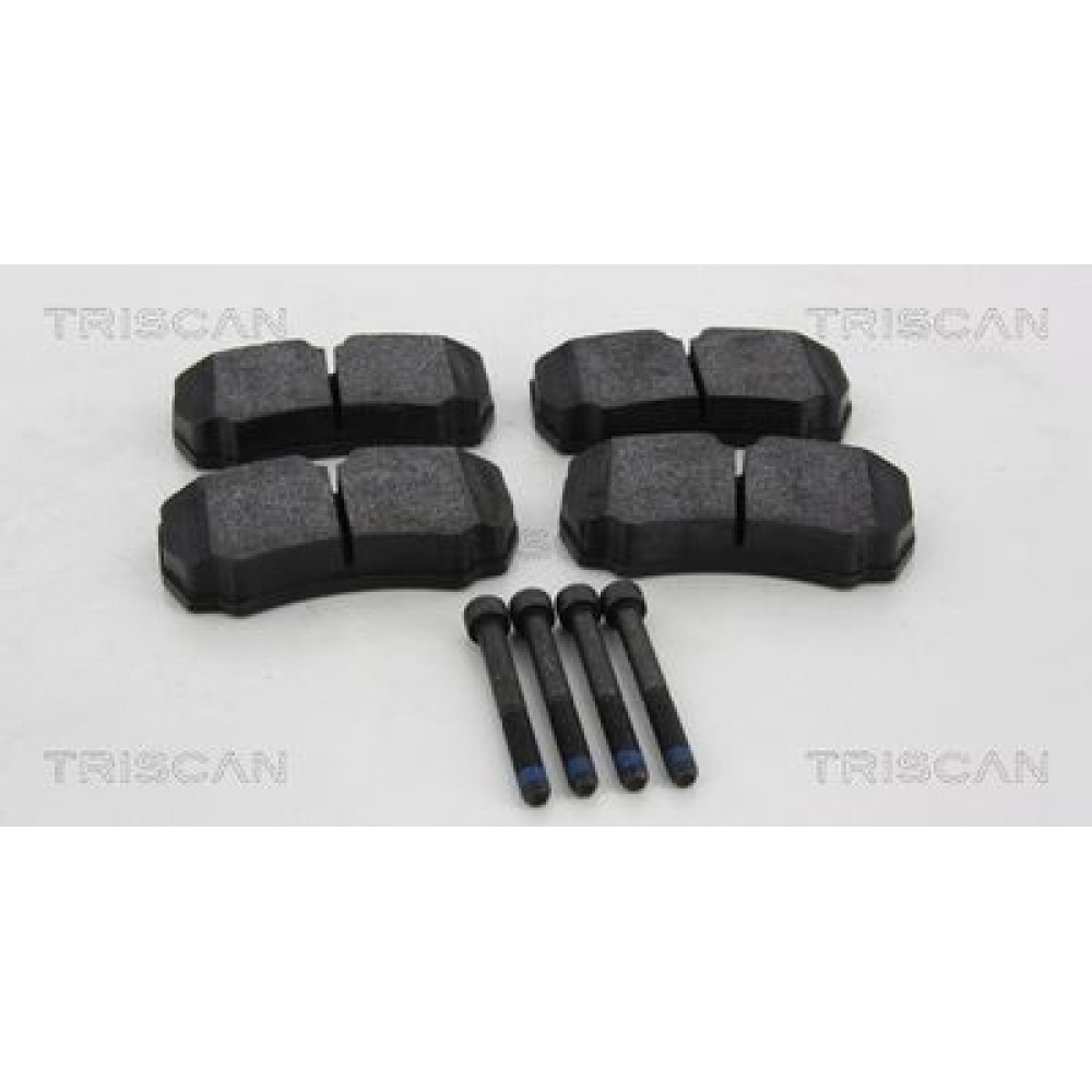 Колодки гальмівні задні TRISCAN 811016026