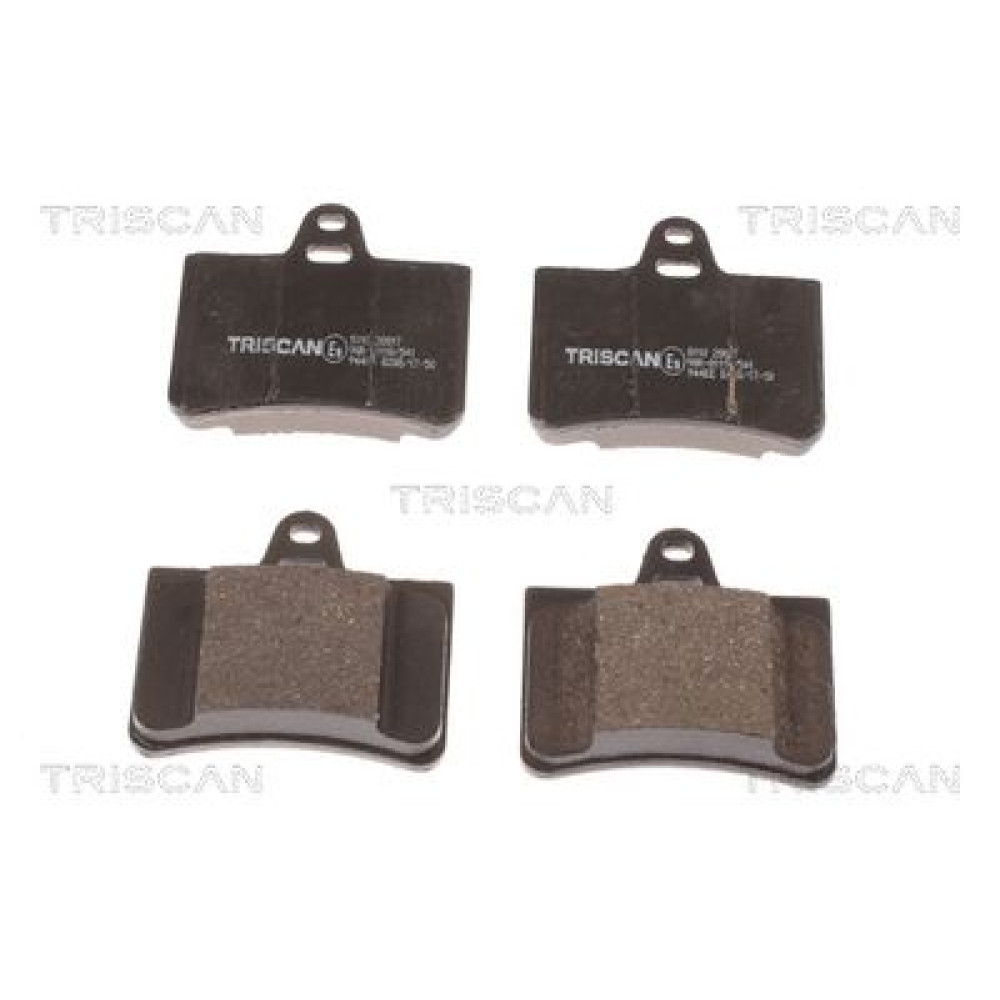 Колодки гальмівні задні TRISCAN 811028017