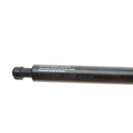 Демпфер дверей багажника Lesjofors 8155468