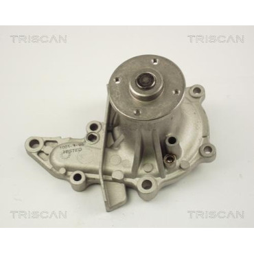 Помпа водяна TRISCAN 860013015