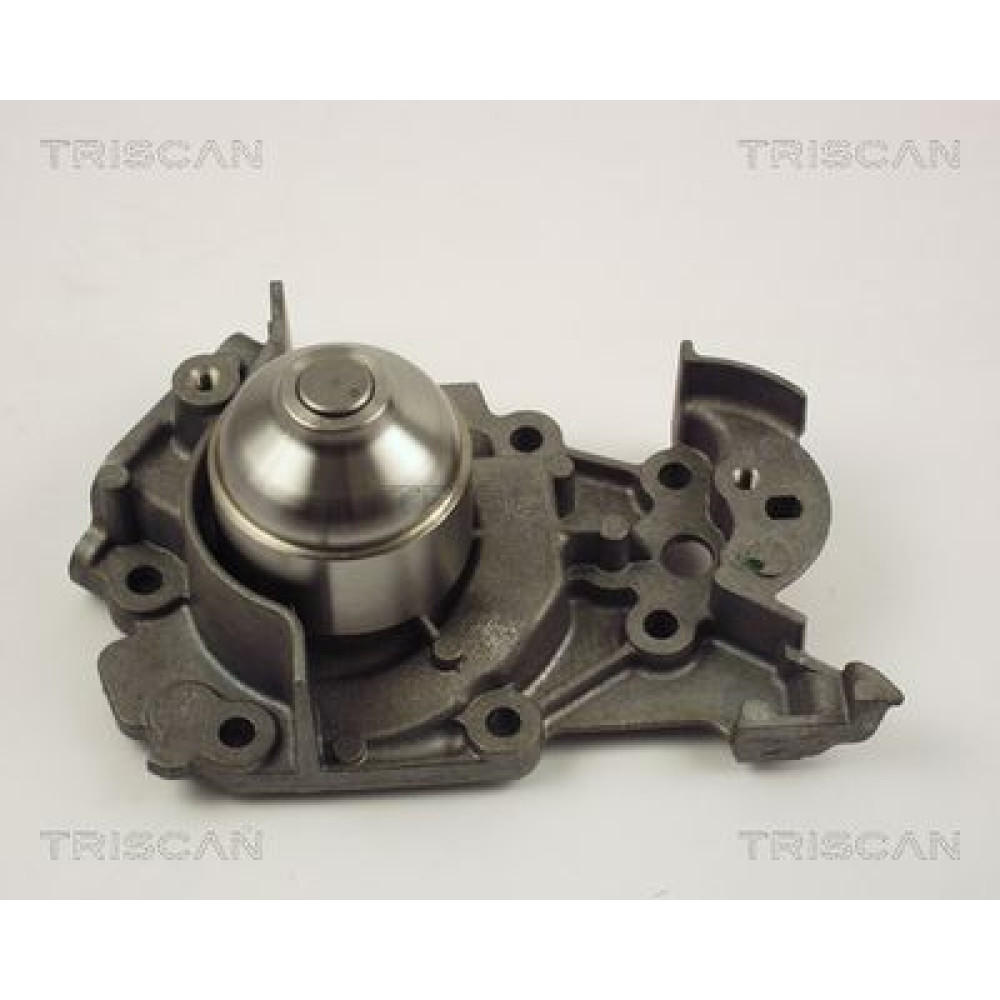 Помпа водяна TRISCAN 860025013