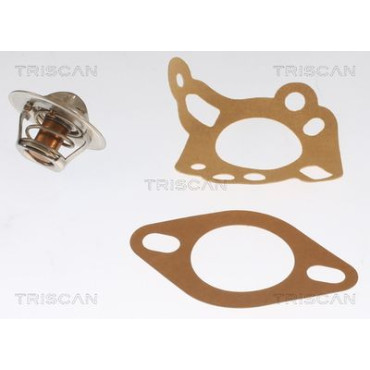 Термостат TRISCAN 862011088