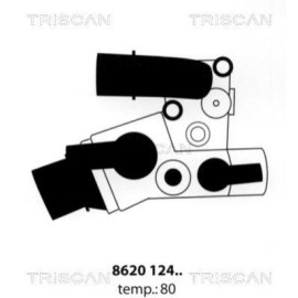 Термостат TRISCAN 862012480