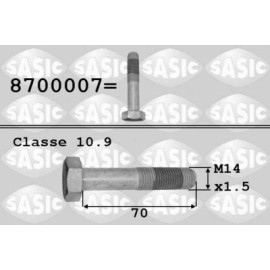 Болт SASIC 8700007