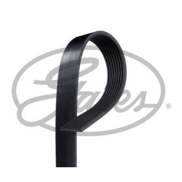 Ремінь полікліновий GATES 8pk2285xs