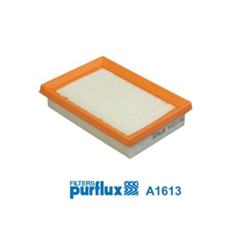 Фільтр забору повітря PURFLUX a1613